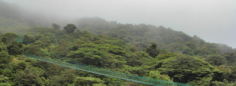 Clima de Monteverde