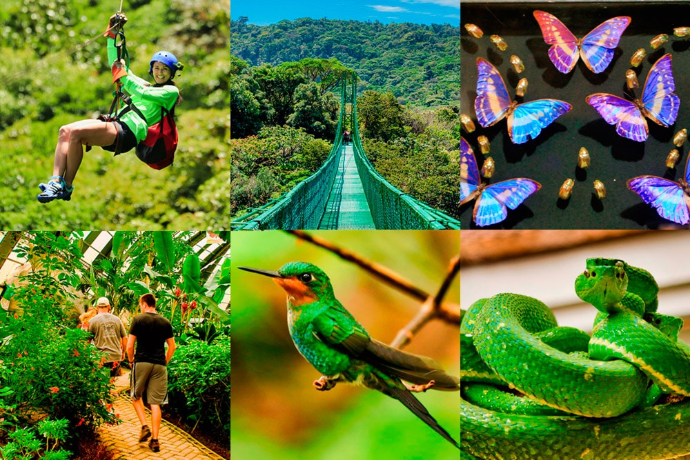 Selvatura Park: Adventure park in Monteverde, Costa Rica